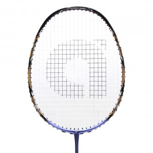 apacs badminton company